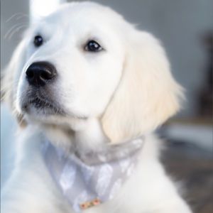 Meet your Posher, Sonia